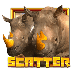 Scatter of Rhino King Slot