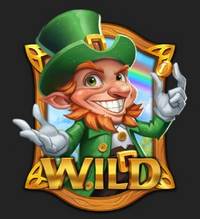 Символ wild