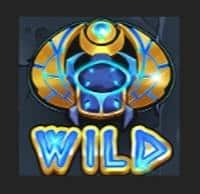 Символ Wild