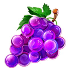 Icon 9 Fruit Boost