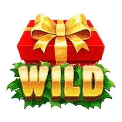 Символ Wild