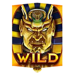Wild Symbol