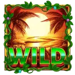 Символ Wild