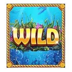 Символы Wild