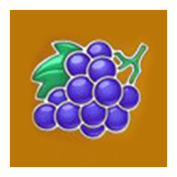 Icon 4 Allways Fruits