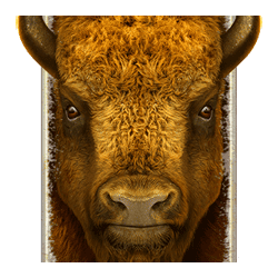 Wild-символ игрового автомата Buffalo Ice: Hold The Spin