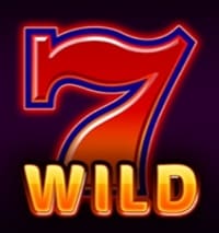 Символ WILD