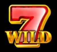 Символ WILD