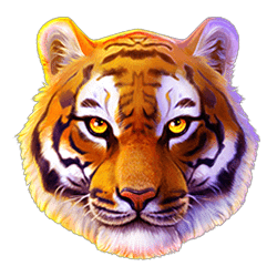 Wild-символ игрового автомата Tiger Stone: Hold and Win