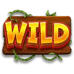 Символ Wild