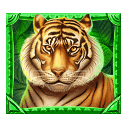Icon 2 Jungle Fortune