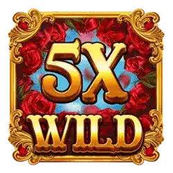 Символ Wild x5