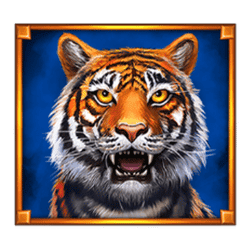 Symbol 1 Way Of The Tiger