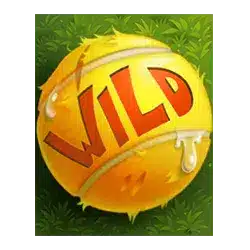 Символ Wild