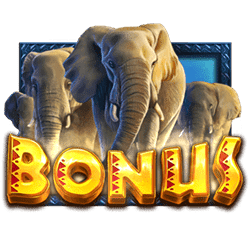 Scatter of African Elephant Slot