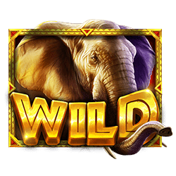 Wild Symbol of African Elephant Slot