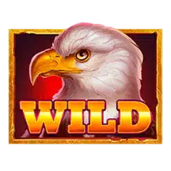 Wild символ
