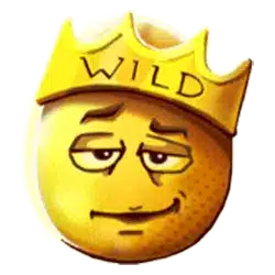 Wild-символ