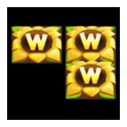 Wild-символ игрового автомата Golden Fields