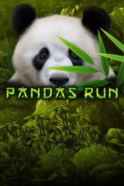 Pandas Run Free Play in Demo Mode