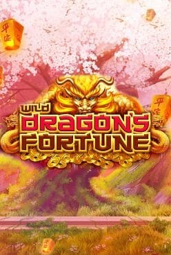 Wild Dragon`s Fortune Free Play in Demo Mode