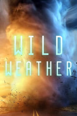 Wild Weather Free Play in Demo Mode