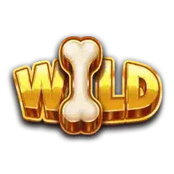 Символ Wild