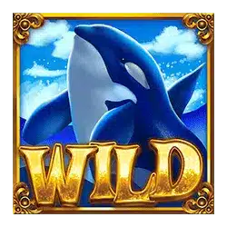 Символ Wild