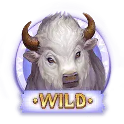 Wild символ