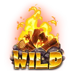 Символ Wild