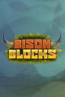 Bison Blocks Free Play in Demo Mode