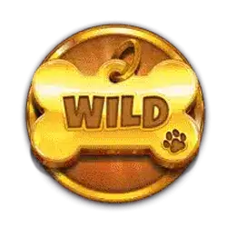 Символ wild