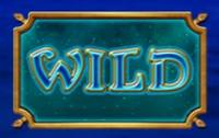 Символ WILD