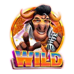 Символ «Wild»