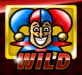 JOKER заменяет любой символ
