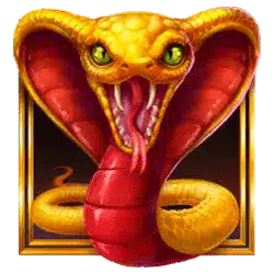 Wild Symbol