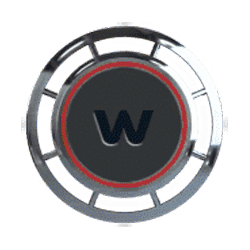 Wild-символ игрового автомата Max Megaways 2