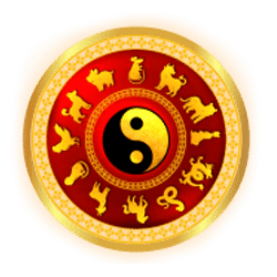 Symbol 5 Spinning Buddha