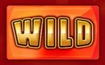 Символ WILD