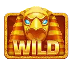 Символ Wild