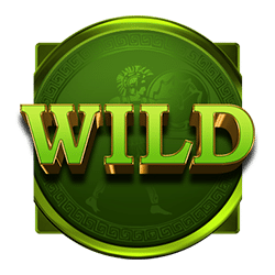 Wild-символ игрового автомата Treasures of Rome