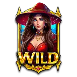 Символ Wild