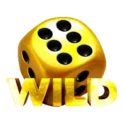 Wild символы