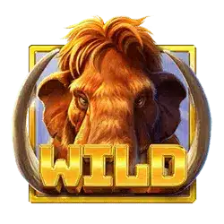 Wild символ