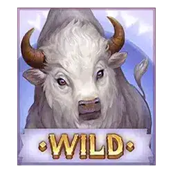 Wild символ