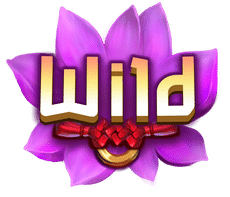 Wild символ