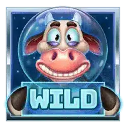 Wild символ
