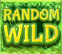 Произвольные символы Wild