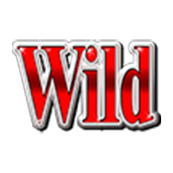 Wild Symbol of Big City 5’s Slot