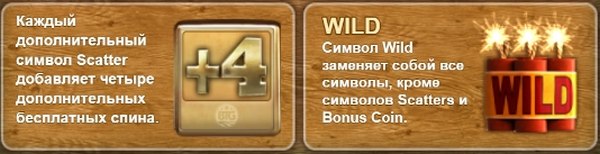 Символ Wild